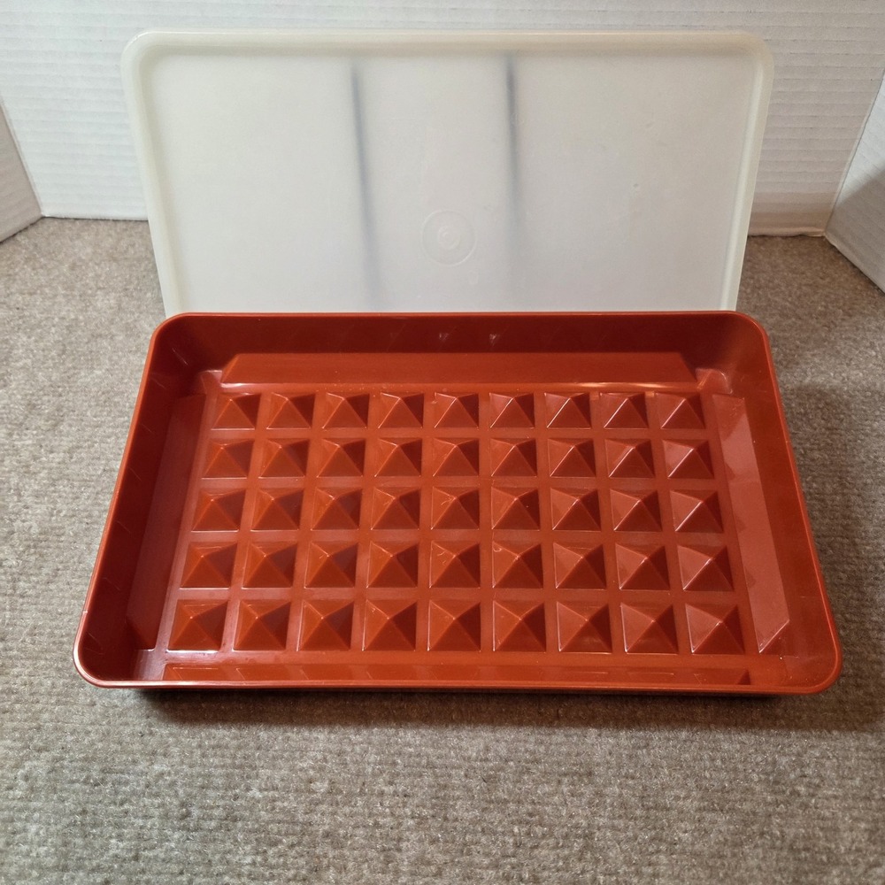 Vintage Tupperware Bacon Deli Meat Keeper Tray 1292-4 Paprika with Lid 1293-1
